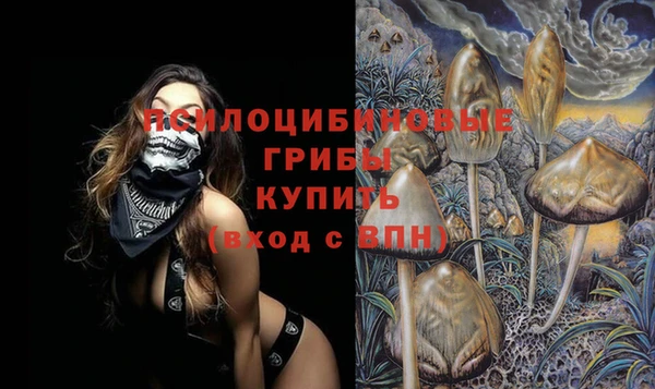 меф Белокуриха