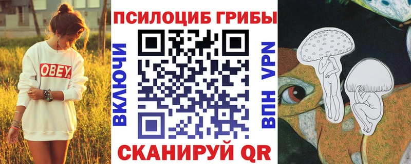 Купить  Горбатов  Псилоцибиновые грибы Psilocybine cubensis 