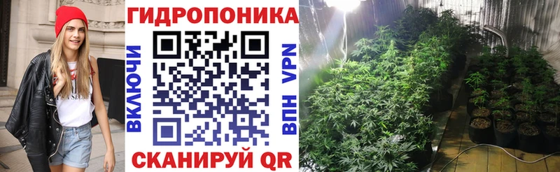 Купить Горбатов Каннабис индика